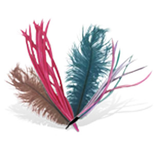 Feathers
