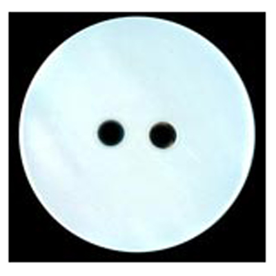 21666 Sullivans 11mm Round Shell Buttons 2 Hole  - River - 64 In A Tube