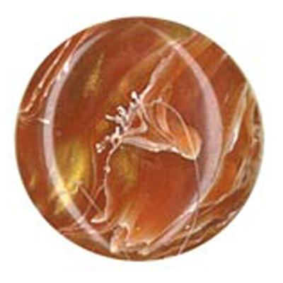 23292 Sullivans 16mm Round Plastic Shank Button With Artistic Splash - Mustard - 31  In A Tube