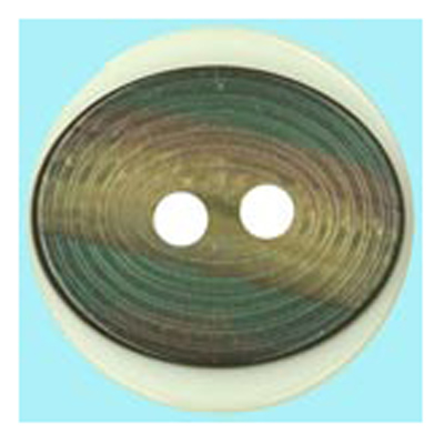 25111 Sullivans 19mm Round Plastic Button 2 Hole With Oval Rimmed Opalised  Centre - White - 22 In A Tube