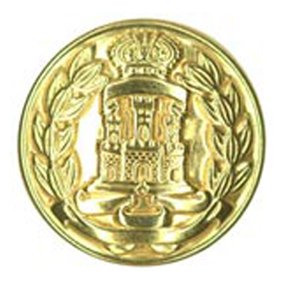 25212 Sullivans 28mm Round Metal Shank Button With Crown And Emblem - Gold - 14 In A Tube