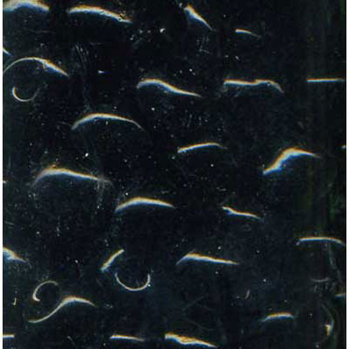 29173 Seed Bead Size 6 Black