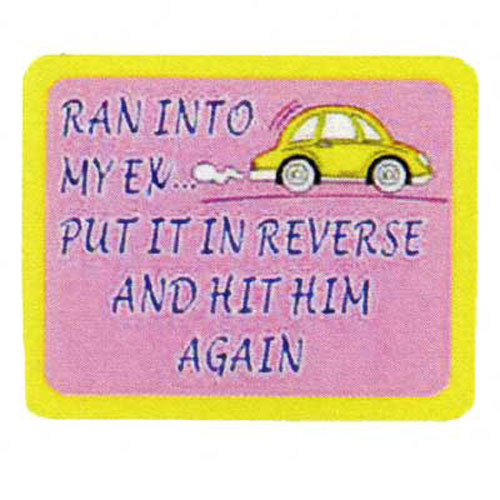 31339 Patch Iron On "ran Into My Ex"