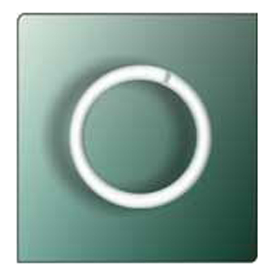 37838 Curtain Ring 25mm Ivory