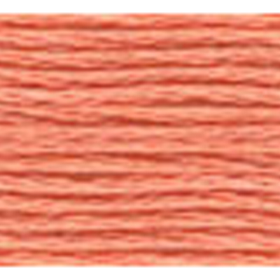 45341 Stranded Cotton 8 M Dmc 3341