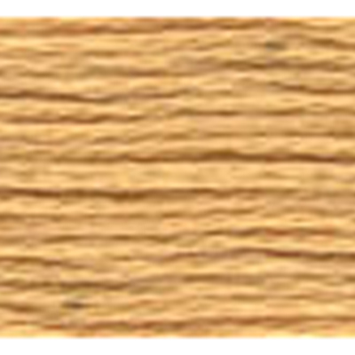 45425 Stranded Cotton 8 M Dmc 3828