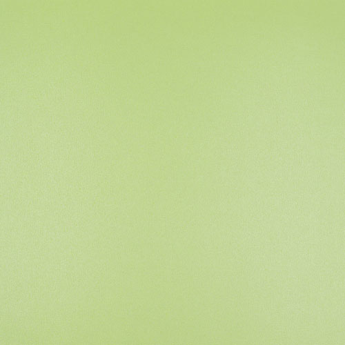 46813 Sullivans 12"x12" Cardstock - Pearl Lorikeet