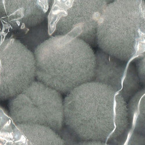 49197 Pom Poms 7mm Grey