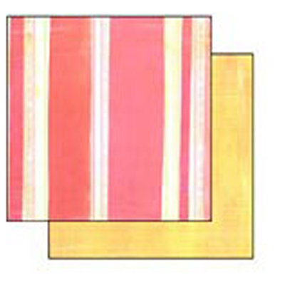 49793 Scrapbook Paper Double Sided 6