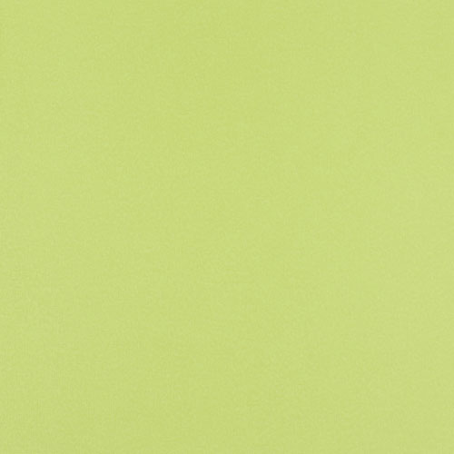 49972 Sullivans 12"x12" Cardstock - Tarragon