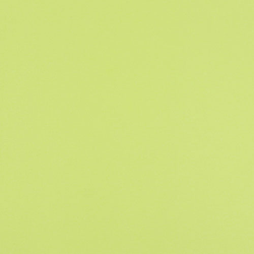 49973 Sullivans 12"x12" Cardstock - Avocado