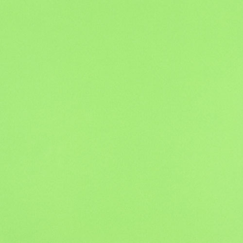 49974 Sullivans 12"x12" Cardstock - Lorikeet