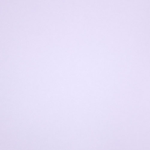 49978 Sullivans 12"x12" Cardstock - Orchid