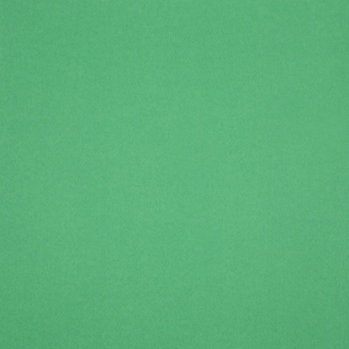 49981 Sullivans 12"x12" Cardstock - Juniper