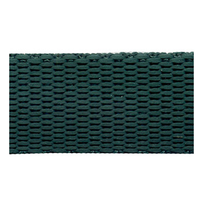 53436 Webbing Polypropylene 22mm Bottle