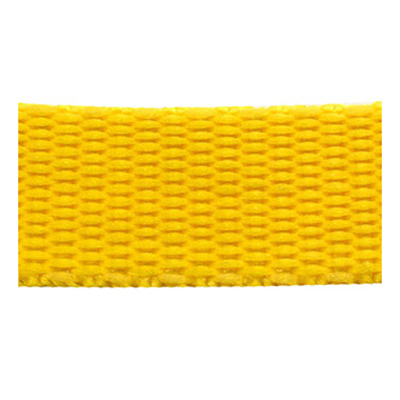 53437 Webbing Polypropylene 16mm Gold