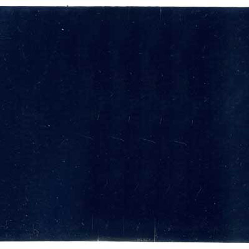 53498 Webbing Pvc Coated 50mm Navy