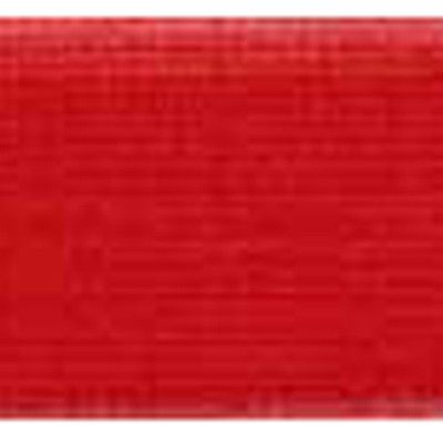 55773 Ribbon Nylon 25mm Red