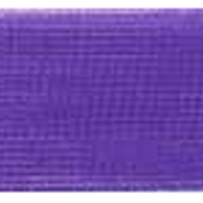 55775 Ribbon Nylon 25mm Purple