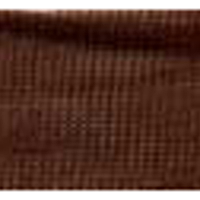 55780 Ribbon Nylon 25mm Brown