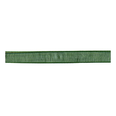 55796 Ribbon Organza 6mm Green