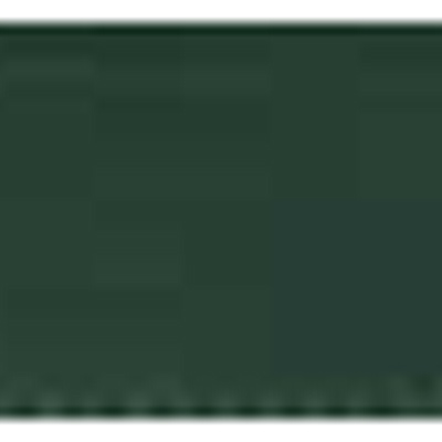 55917 Ribbon Taffeta 5mm Forest