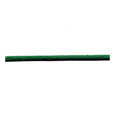 56201 Ribbon Cord 2mm Green