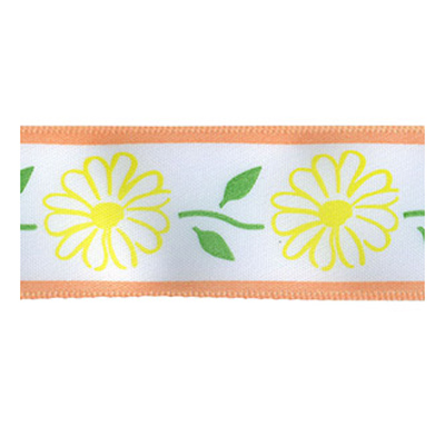 56280 Ribbon Satin 25mm White Yellow