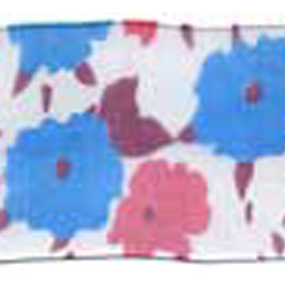 57746 Ribbon Organza 25mm White Pink Blue