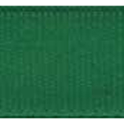 57864 Ribbon Grosgrain 25mm Fern Green