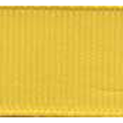 57883 Ribbon Grosgrain 38mm Sanpdragon Yellow