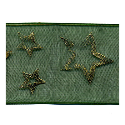 57898 Ribbon Organza 38mm Green