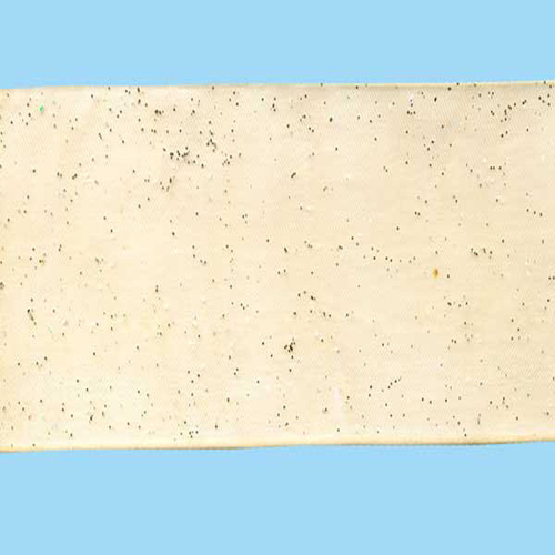 57913 Ribbon Organza 50mm Cream
