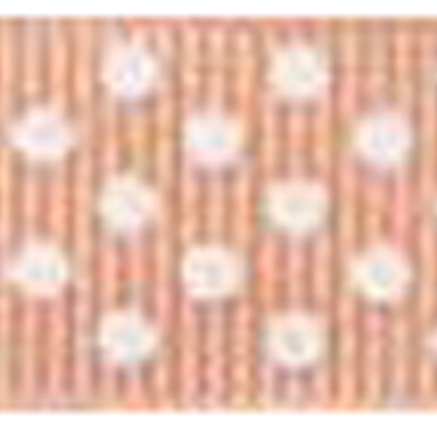 58017 Ribbon Grosgrain 16mm Apricot White
