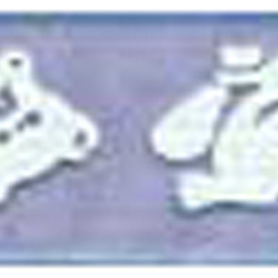 58078 Ribbon Organza 21mm Blue White