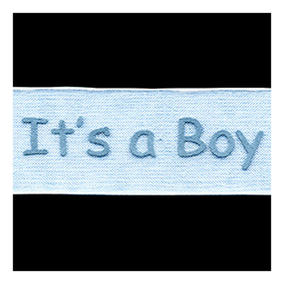 58274 Ribbon Organza 25mm White Blue