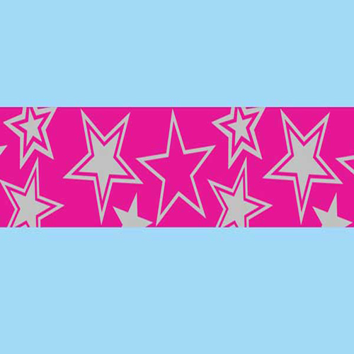 58335 Ribbon Organza 38mm Hot Pink Silver