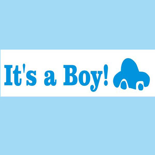 58349 Ribbon Organza 38mm Light Blue White