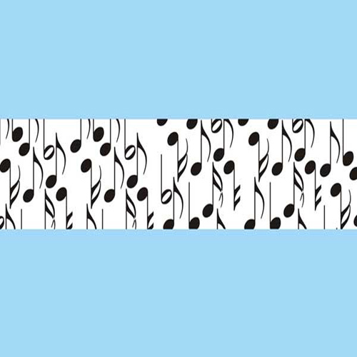 58352 Ribbon Organza 38mm White Black