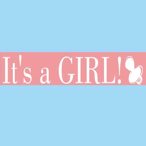 58357 Ribbon Satin 38mm Pink White