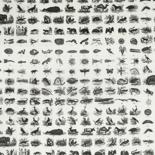 63567 Printed Cotton Fabric 112cm Animals Insects