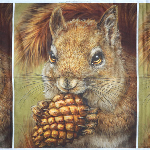 63594 Printed Cotton Fabric 112cm Squirrel