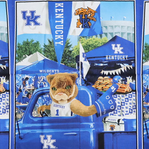 64644 Quilting Craft Prints 112cm Design 32