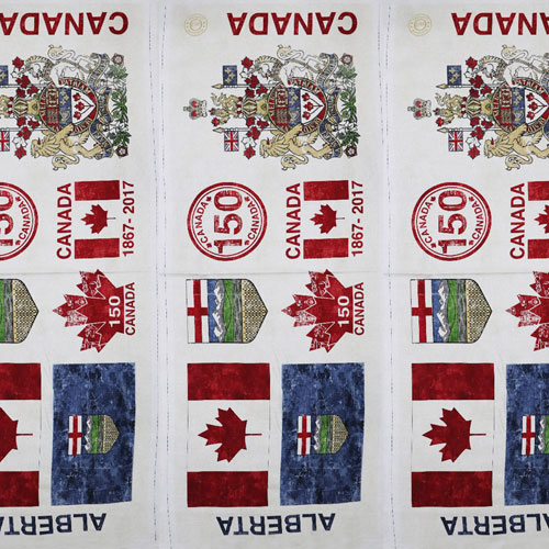 64654 Quilting Craft Prints 112cm Design 42