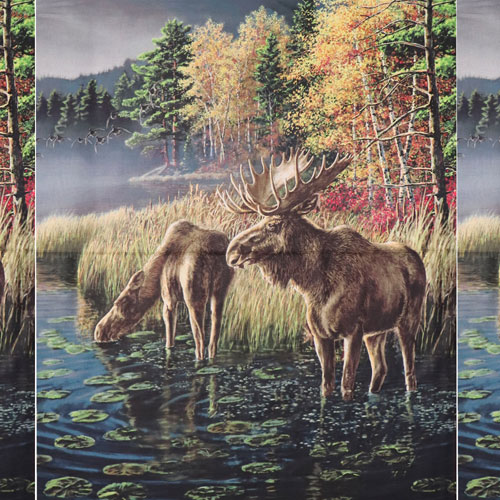 64959 Cotton Fabric 112cm Moose