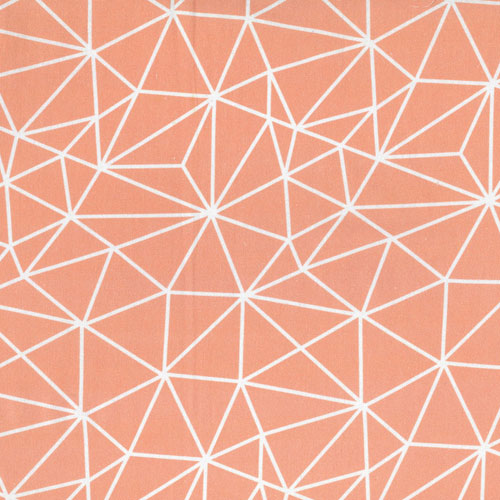 65404 Printed Quilting Fabric 112cm Coral Architect
