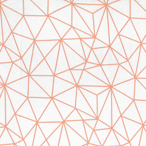 65406 Printed Quilting Fabric 112cm Cream Coral Architect
