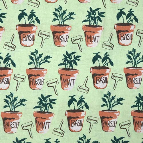 65759 Fab Cotton 141cm Plants In Pot