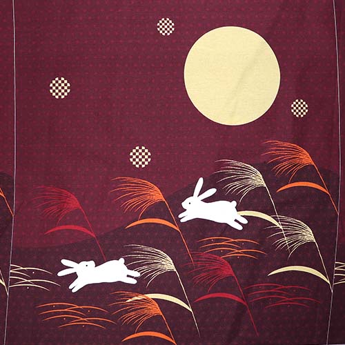 65793 Fab Cotton 141cm Bunny And Moon