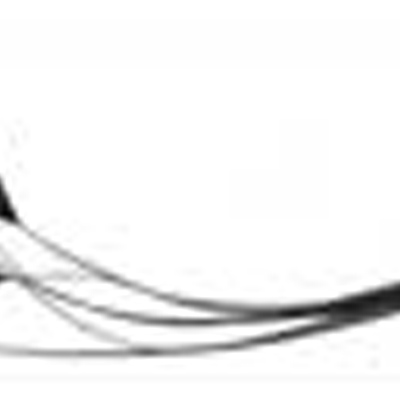 70276 Feather Stripped Coque Black